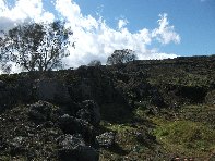 iara Scorciavacca-20110306 064